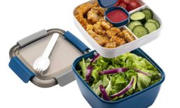 Freshmage Salad Lunch Container